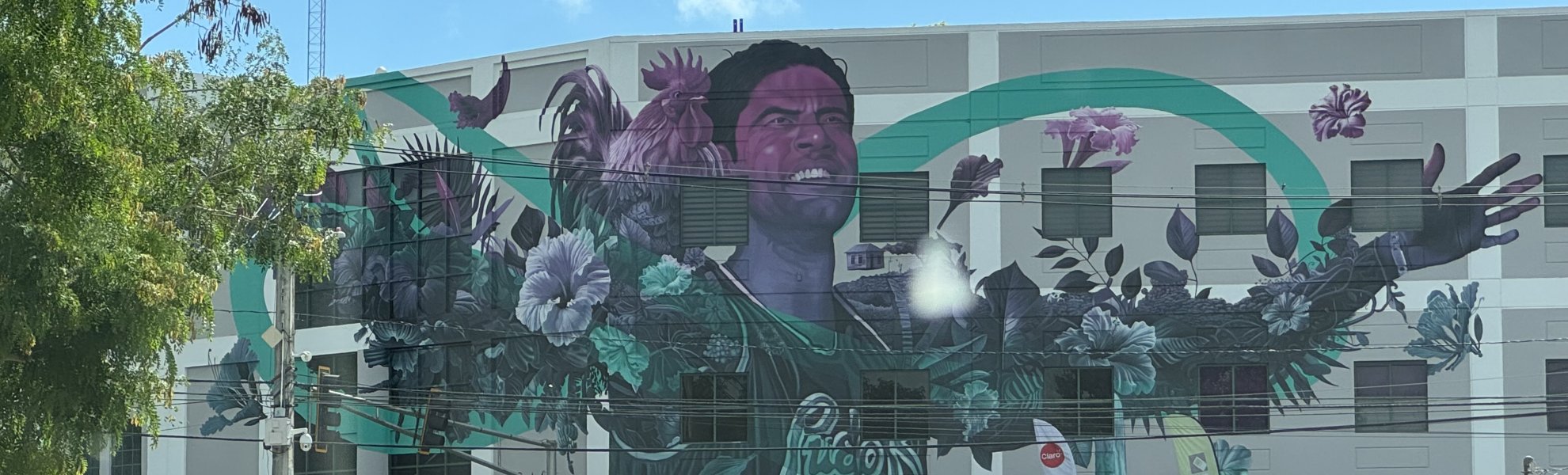 Salinas, Puerto Rico backgound banner